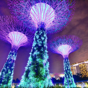 Gardens by The Bay – Double Conservatories